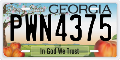 GA license plate PWN4375