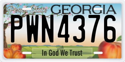 GA license plate PWN4376
