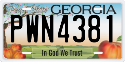 GA license plate PWN4381