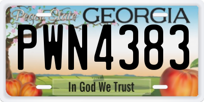 GA license plate PWN4383
