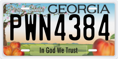 GA license plate PWN4384