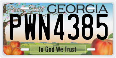 GA license plate PWN4385