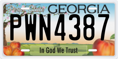GA license plate PWN4387