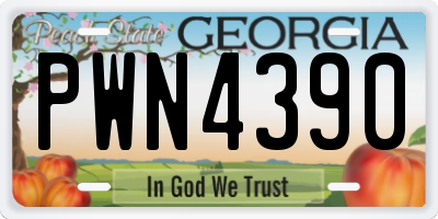 GA license plate PWN4390