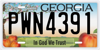 GA license plate PWN4391