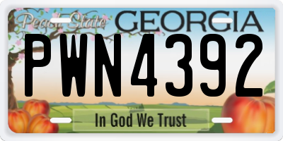 GA license plate PWN4392