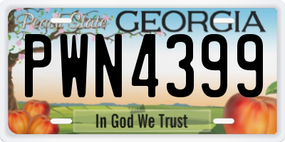 GA license plate PWN4399
