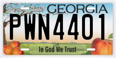GA license plate PWN4401