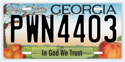 GA license plate PWN4403