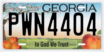 GA license plate PWN4404