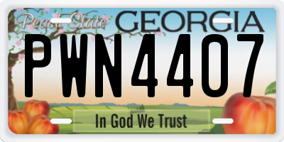 GA license plate PWN4407