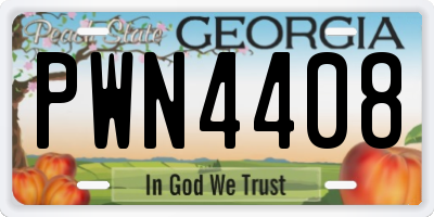 GA license plate PWN4408