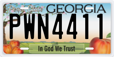 GA license plate PWN4411