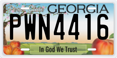 GA license plate PWN4416