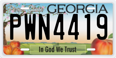 GA license plate PWN4419