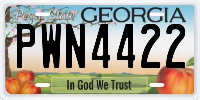 GA license plate PWN4422