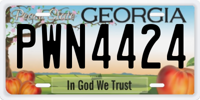 GA license plate PWN4424