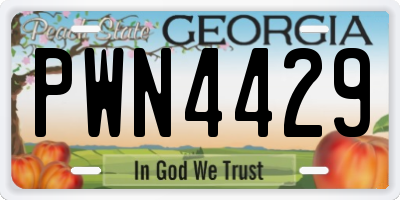GA license plate PWN4429