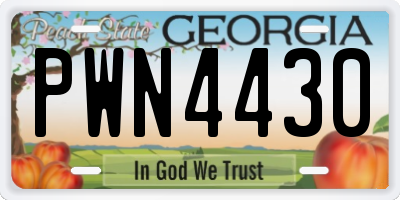 GA license plate PWN4430