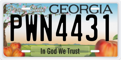 GA license plate PWN4431