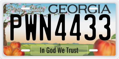 GA license plate PWN4433