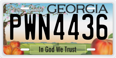 GA license plate PWN4436