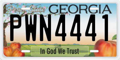 GA license plate PWN4441