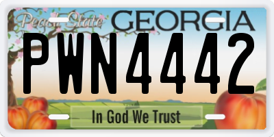 GA license plate PWN4442