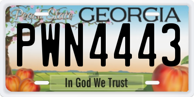 GA license plate PWN4443