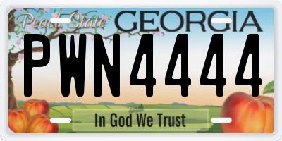 GA license plate PWN4444