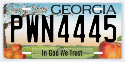 GA license plate PWN4445