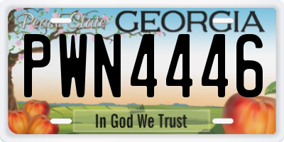 GA license plate PWN4446