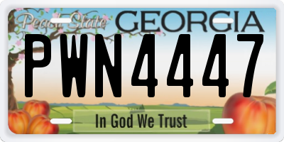 GA license plate PWN4447