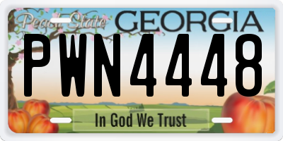 GA license plate PWN4448