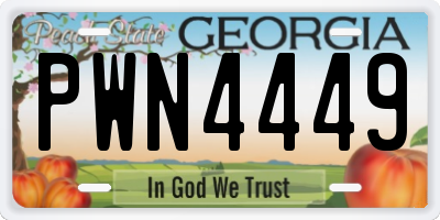 GA license plate PWN4449
