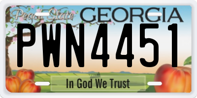 GA license plate PWN4451
