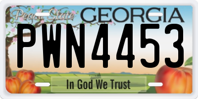 GA license plate PWN4453