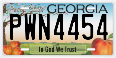 GA license plate PWN4454