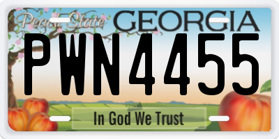 GA license plate PWN4455
