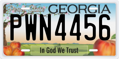 GA license plate PWN4456