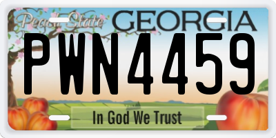 GA license plate PWN4459