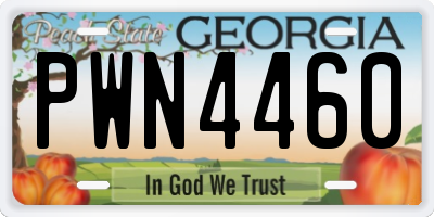 GA license plate PWN4460