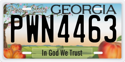 GA license plate PWN4463