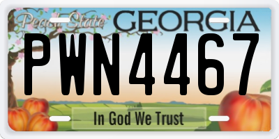 GA license plate PWN4467
