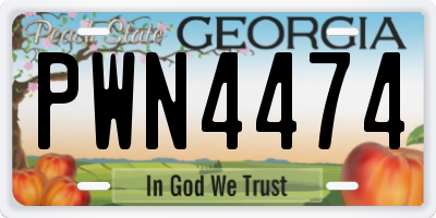GA license plate PWN4474