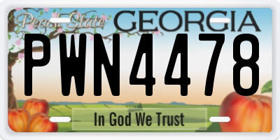 GA license plate PWN4478