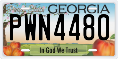 GA license plate PWN4480