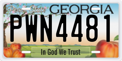 GA license plate PWN4481