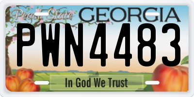 GA license plate PWN4483