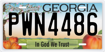 GA license plate PWN4486